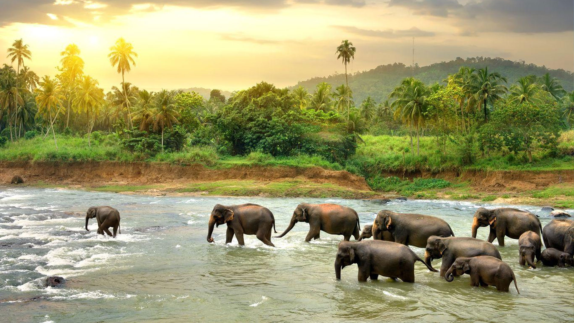 Sri Lanka 14 Jours